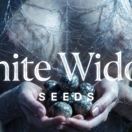 The Widow’s Garden