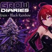 🌈 Black Rainbow Unleashed