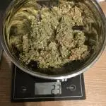 Royal Highness: The Rise of Jack👑🌿