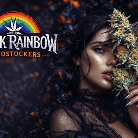 🌈 Black Rainbow Unleashed