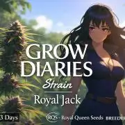 Royal Highness: The Rise of Jack👑🌿