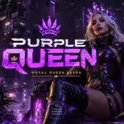 Purple Queen's Royal Rush