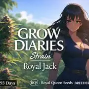 Royal Highness: The Rise of Jack👑🌿