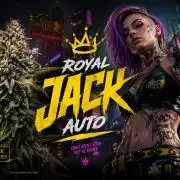 Royal Highness: The Rise of Jack👑🌿