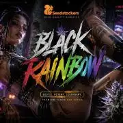 🌈 Black Rainbow Unleashed