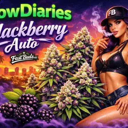 Juicy Berry Lust