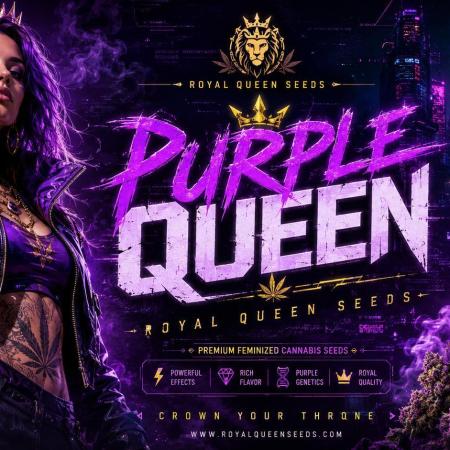 Purple Queen's Royal Rush