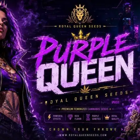 Purple Queen's Royal Rush