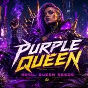 Purple Queen's Royal Rush