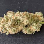 Green gelato autoflower x4