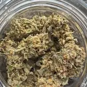 Indica (Mataro Blue) & Sativa (Amnesi-K Lemon)