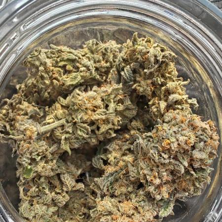 Indica (Mataro Blue) & Sativa (Amnesi-K Lemon)