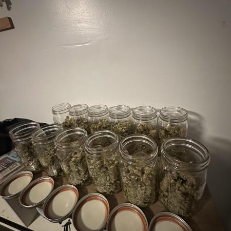 Outdoor/indoor Barney’s farm mix