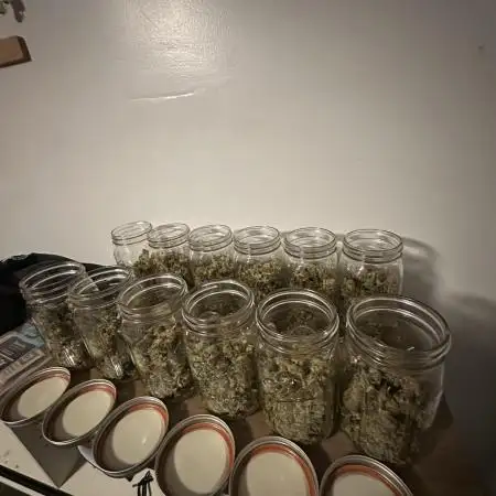 Outdoor/indoor Barney’s farm mix