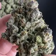 Papaya Cookies