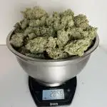 Pound Cake auto by Fast Buds