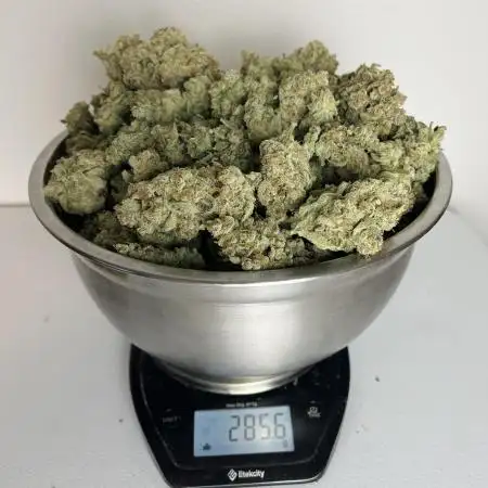 Pound Cake auto by Fast Buds