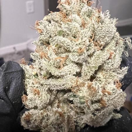 Pound Cake auto by Fast Buds