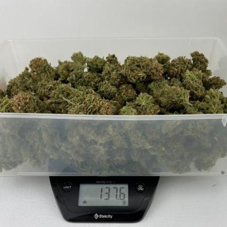 Hubbabubbahaze by Mephisto Genetics