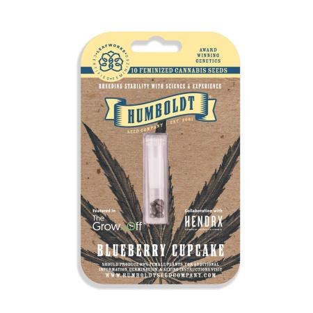 Blueberry Cupcake #2025