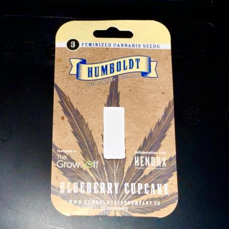 Blueberry Cupcake #2025