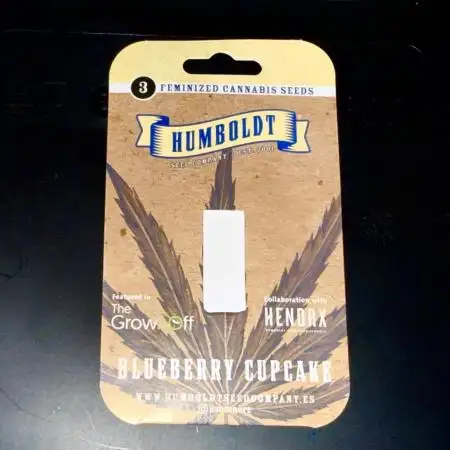 Blueberry Cupcake #2025