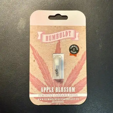#2025 Balkon GROW Germany - Apple Blosso