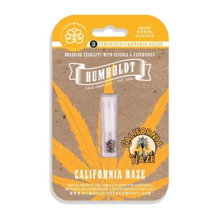 California Haze #2026