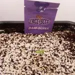 Dank-yah-Berry