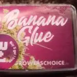 BananaGlue