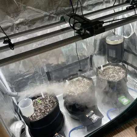 Autoflower & Autopot
