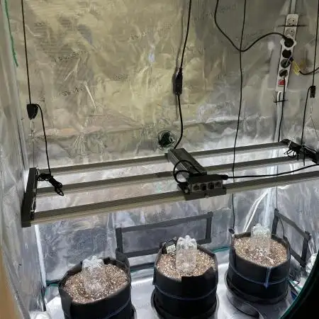 Autoflower & Autopot