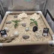 Ocean Freeze & Azul Rosa RHS AC Infinity