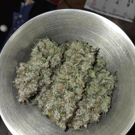 Blueberry Cane Danf Pro