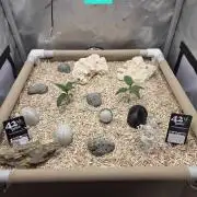 Ocean Freeze & Azul Rosa RHS AC Infinity