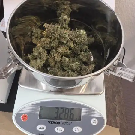 Blue Dream Danf Box