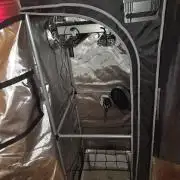 Ocean Freeze & Azul Rosa RHS AC Infinity