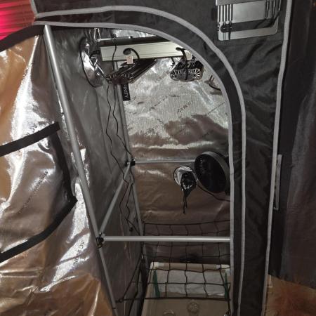 Ocean Freeze & Azul Rosa RHS AC Infinity