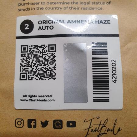Amnesiea Haze Auto #2