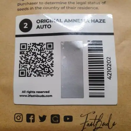 Amnesiea Haze Auto #2