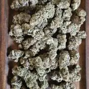 HONEY MINTS 🐝🌱🌳