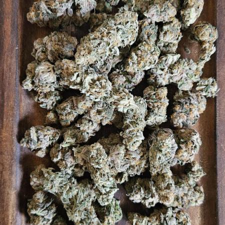 HONEY MINTS 🐝🌱🌳