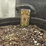 Malasana Gelato 🍨🍦