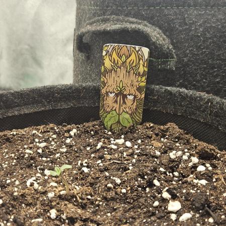 Malasana Gelato 🍨🍦