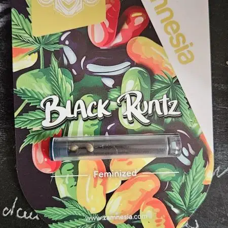 Zamnesia black runtz mini grow