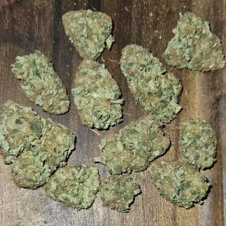 ALIEN OG 👽