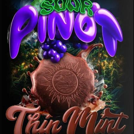 Thin Mint x Sour Pinot Auto (Barney's )