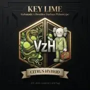 VzH / Key Lime