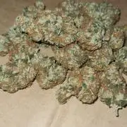 VzH / Key Lime