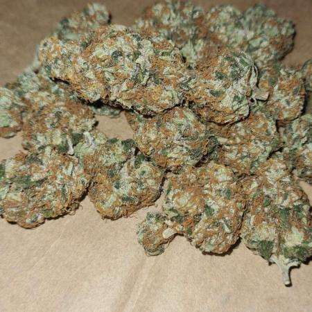VzH / Key Lime